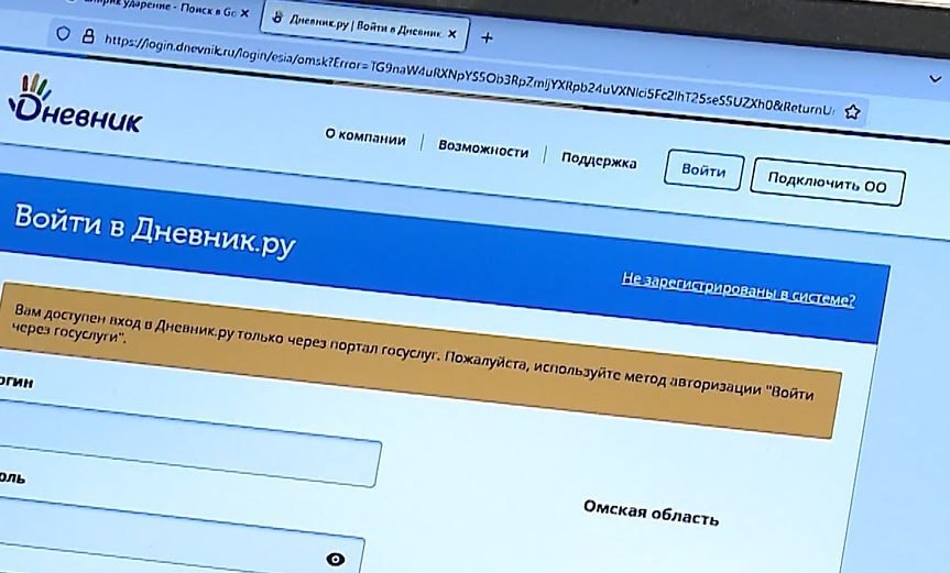 Жителям Омской области рассказали, как пользоваться электронным дневником Жителям Омской области рассказали, как пользоваться электронным дневником.